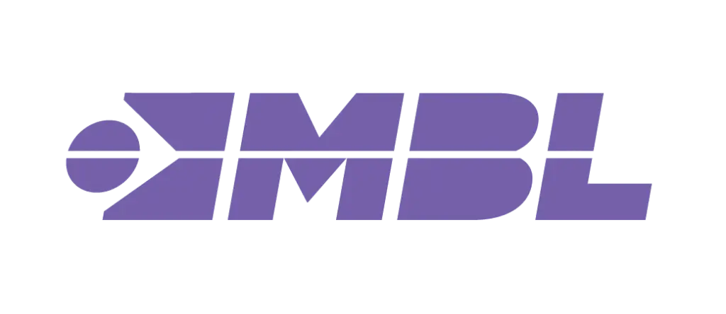 Imagem recortada da logo MBL - Movimento Brasil Livre