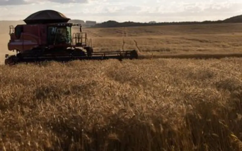 agro brasileiro - emprego