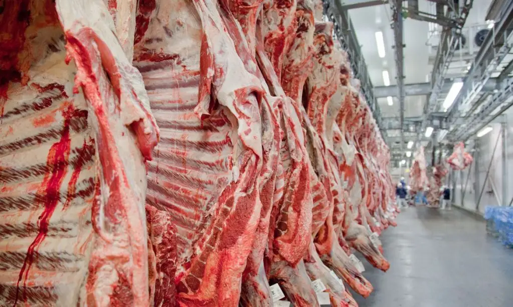 Brasil carne bovina china