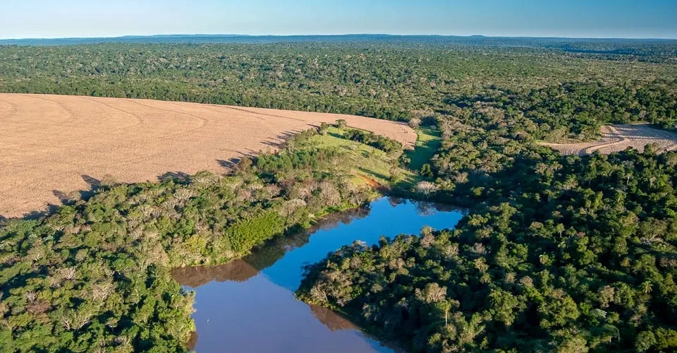 Área desmatada para produção de cereais em região de fronteira entre Brasil, Paraguai e Argentina