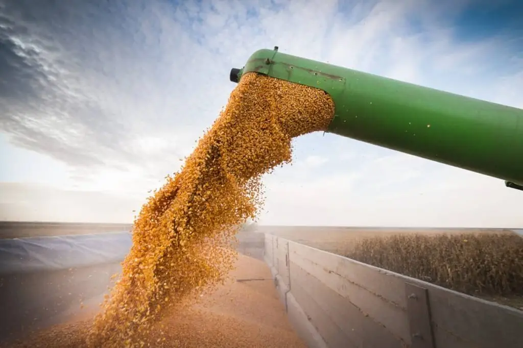 Agropecuária exportações janeiro