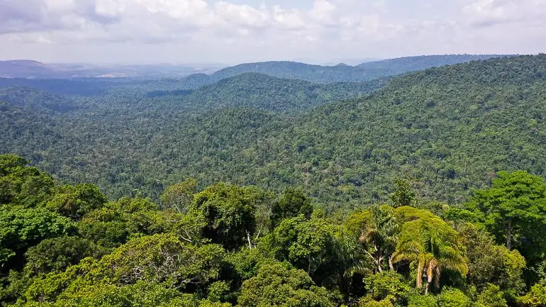 desmatamento amazônia cerrado recorde