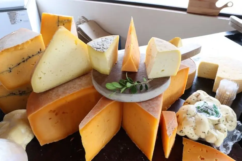 queijo