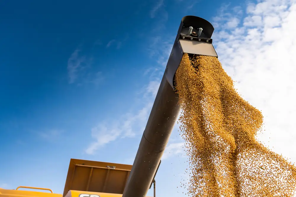 FGV agropecuária PIB Brasil