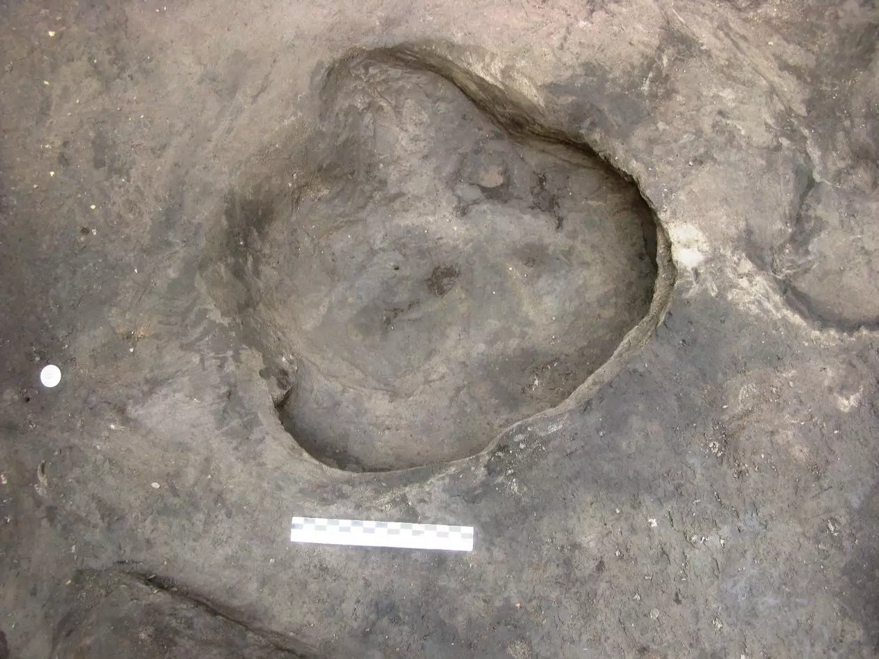 Pegada rinoceronte Alemanha