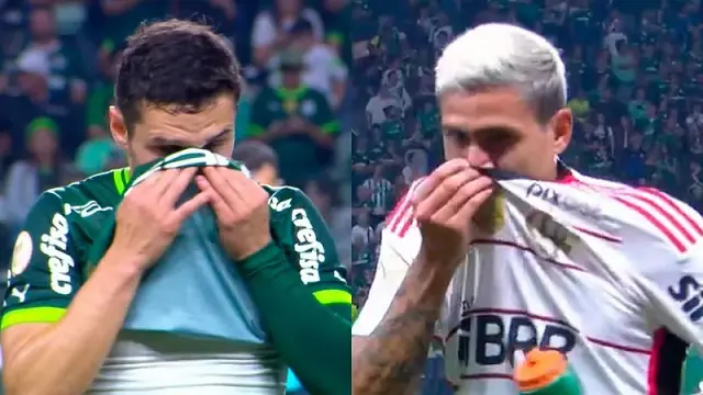 palmeiras x flamengo