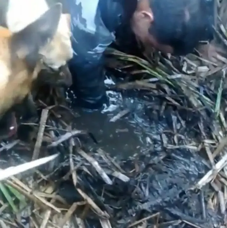 Apreensão de drogas feita em pântano com água