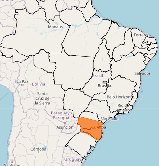 tempestade no sul - 12/8/2023