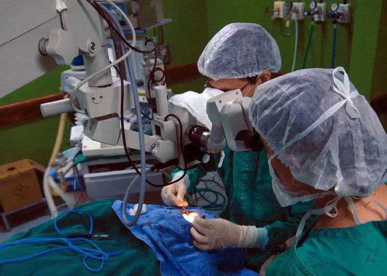 transplante de coração brasil