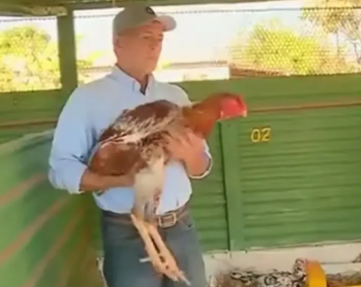 Rubens Braz e galo índio gigante