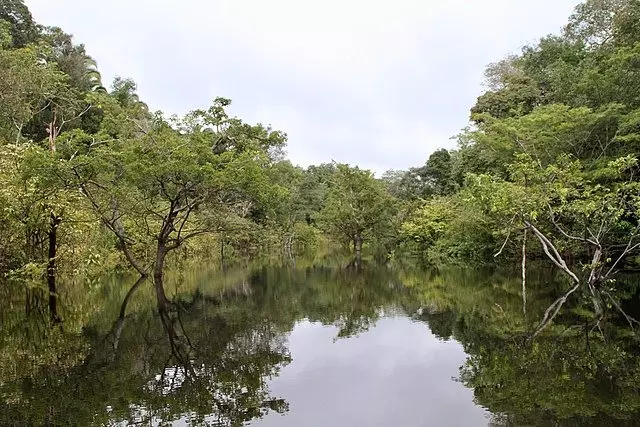 Amazônia