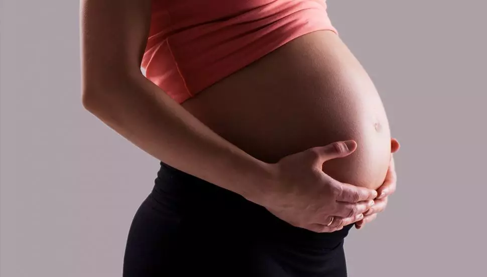 gravidez - aborto - stf- senado