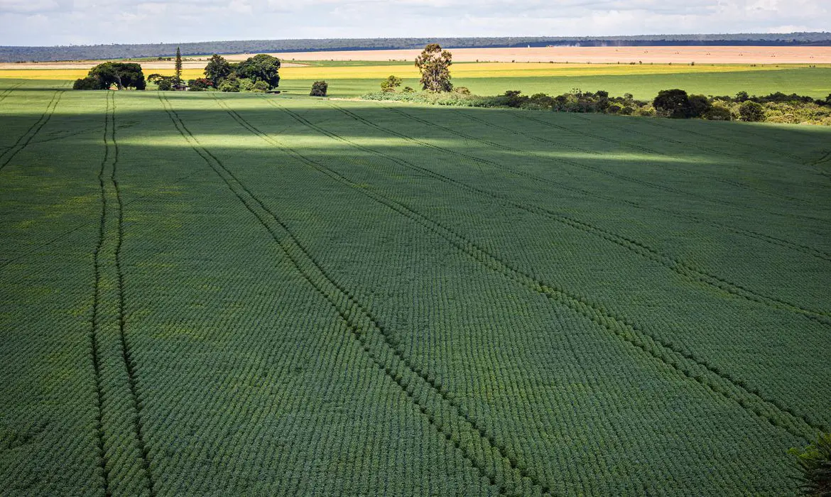 Mercado salários agro inflação