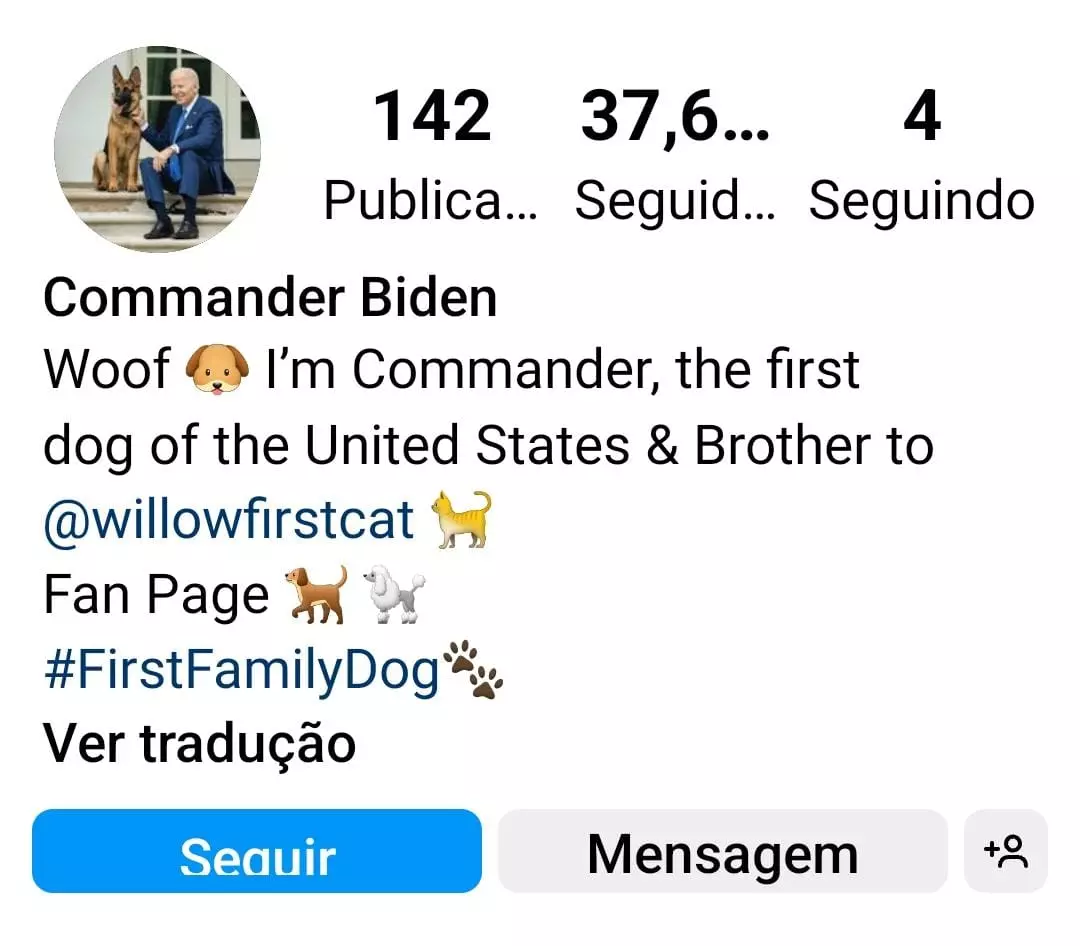 Perfil de Commander Biden, o 'primeiro-cachorro' norte-americano no Instagram