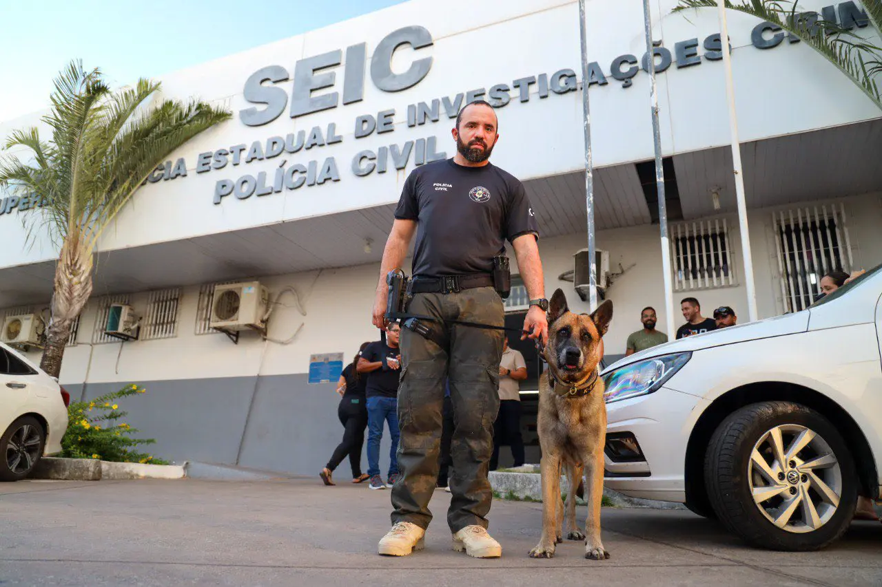 cão tráfico drogas