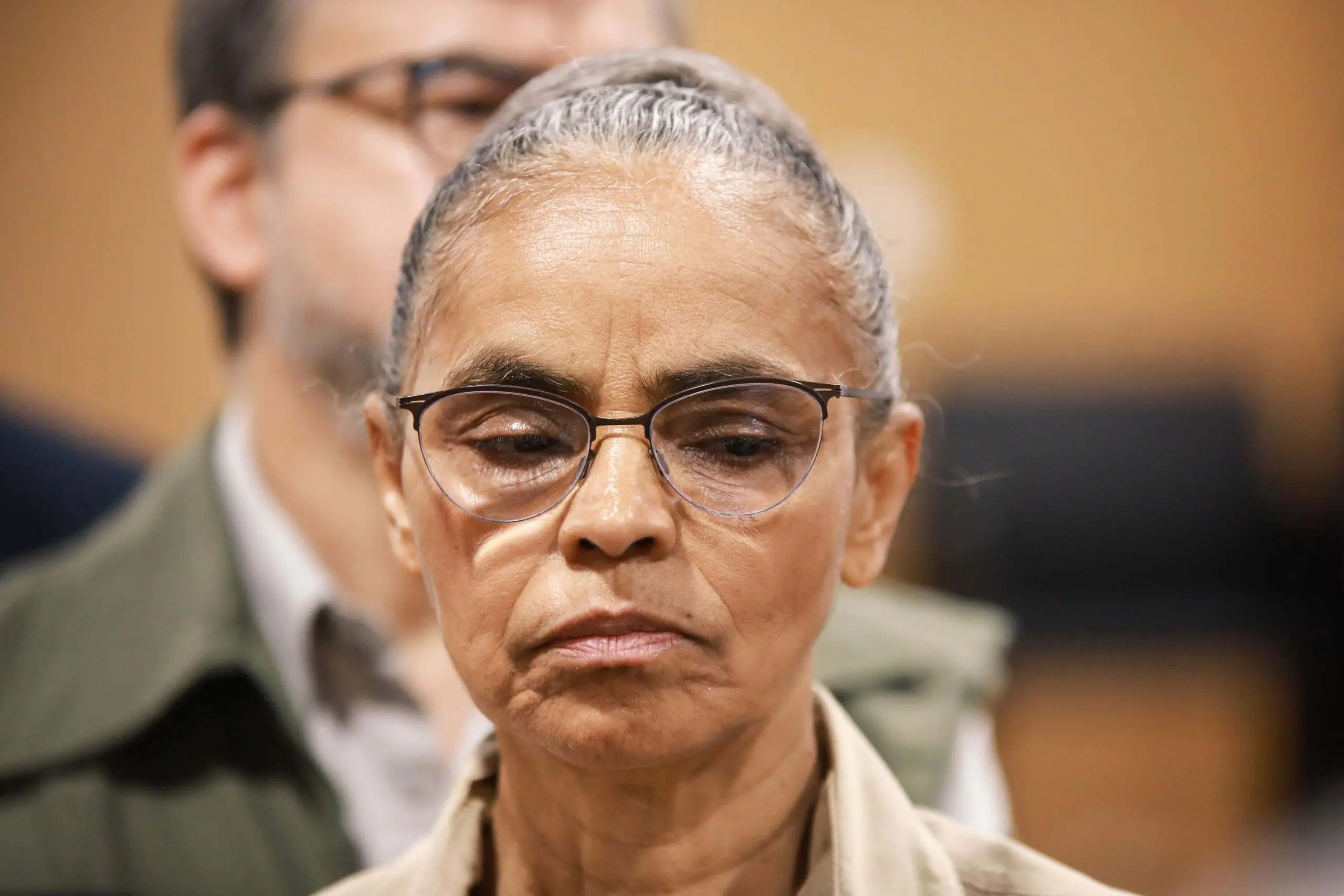 ong marina silva