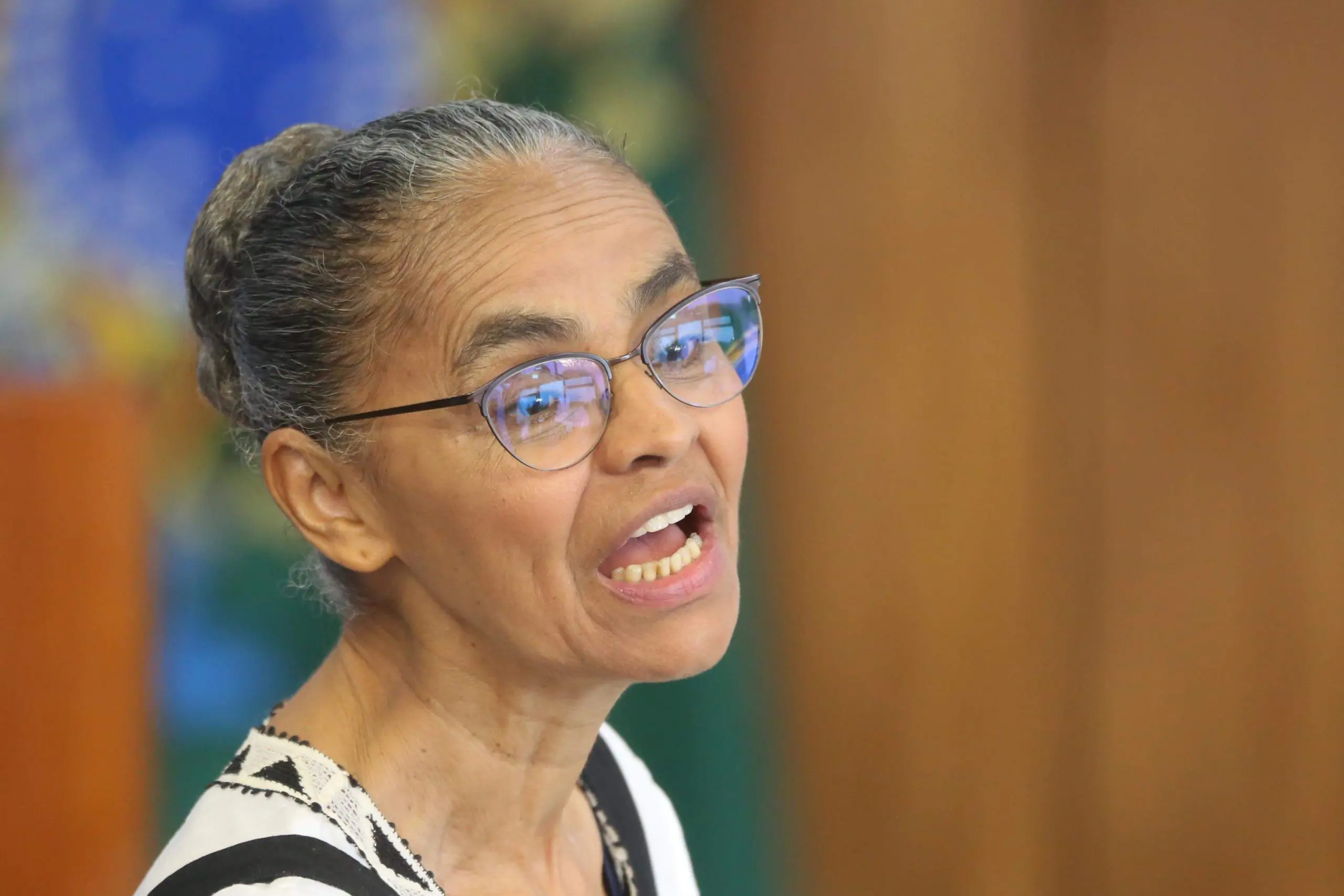 cpi ongs marina silva