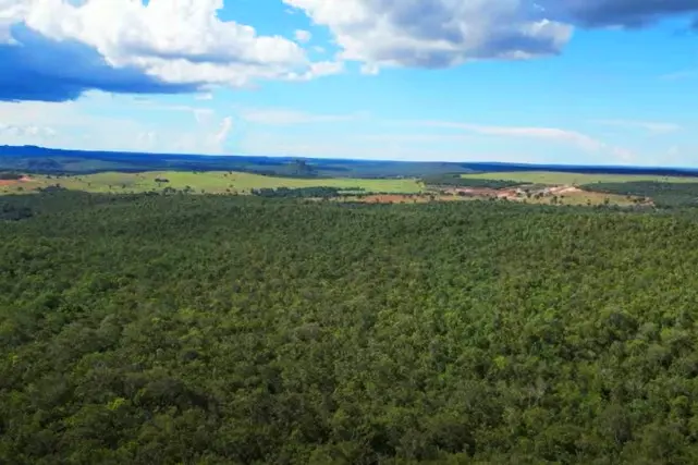 fazenda Araguaia Mato Grosso MT