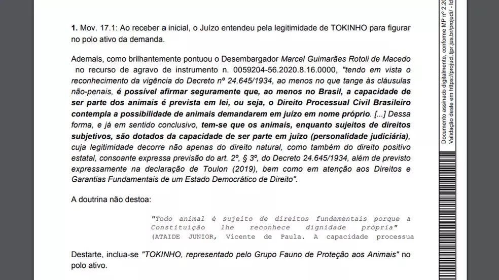 cachorro ex-tutor justiça2