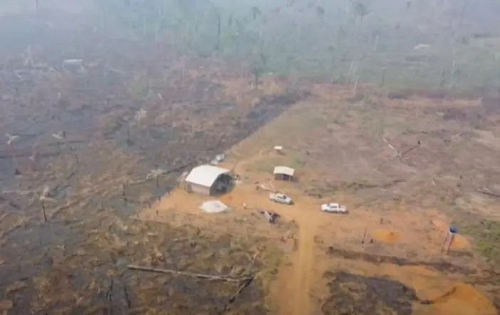 desmatamento amazonia