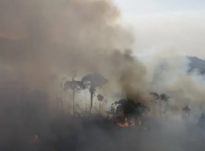 desmatamento queimada amazonia