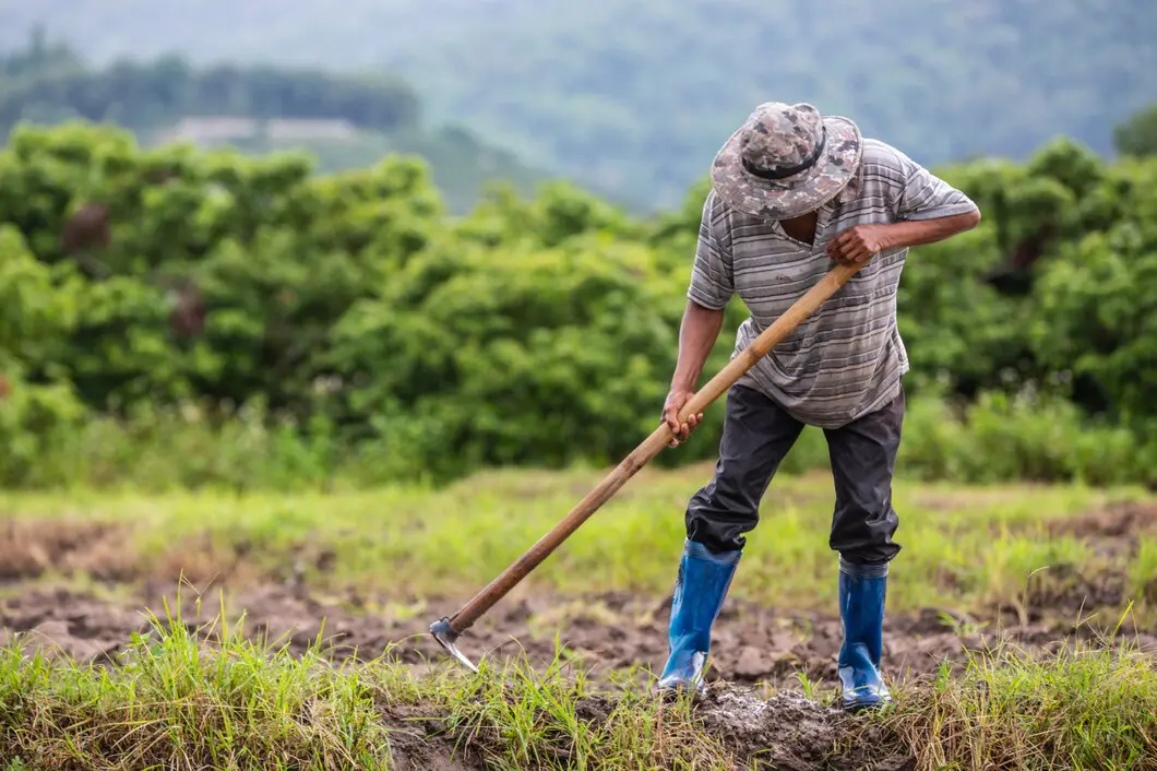 força-tarefa defensivos agrícolas 2