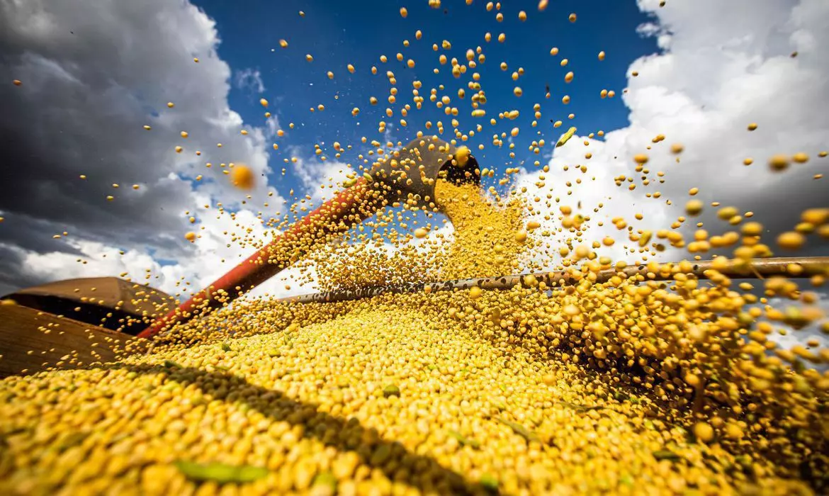 Produção de soja cresce no Brasil