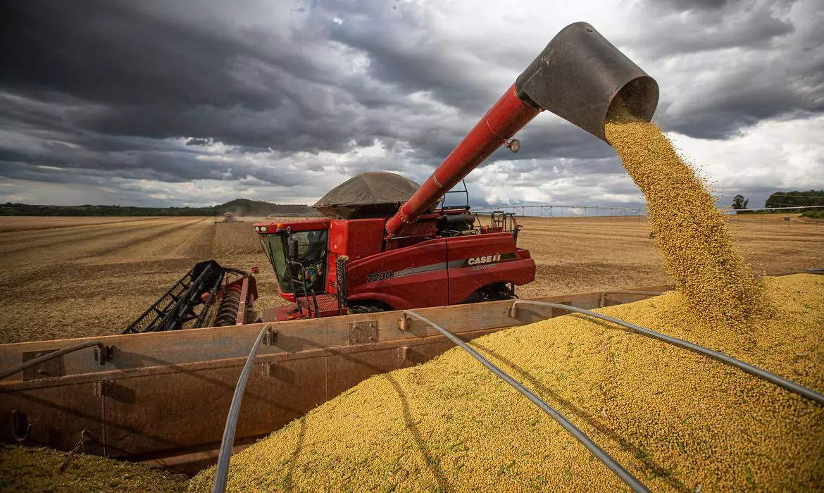 Produção de soja na América Latina