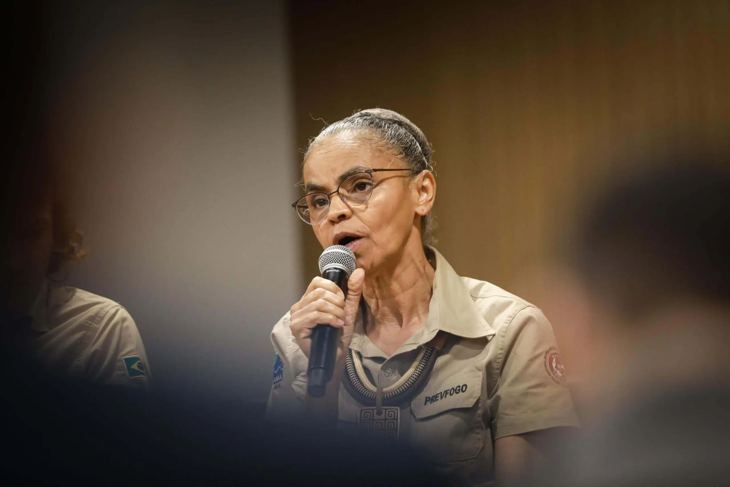 cpi ongs marina silva