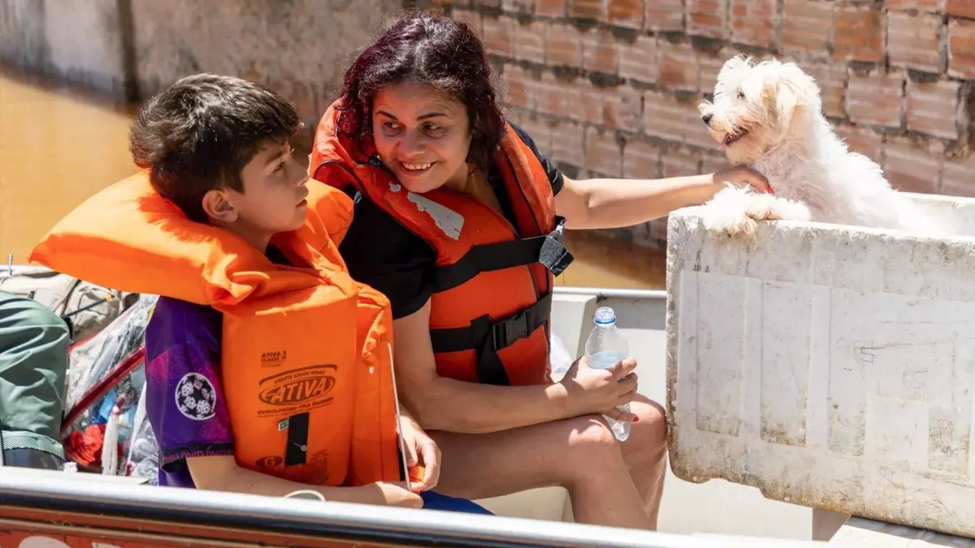 enchentes animais sul resgate