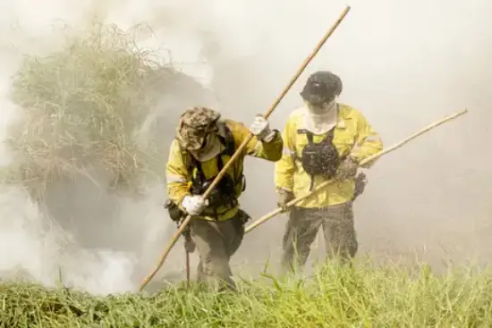 Pantanal incendio