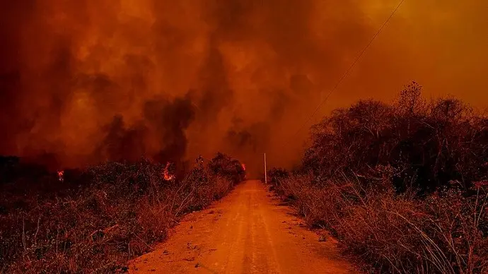 Pantanal