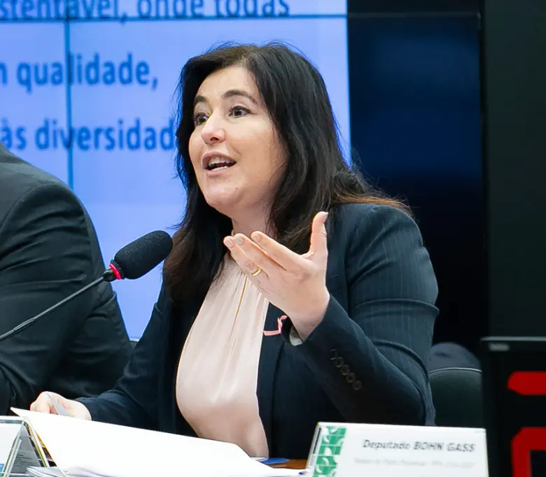 Simone Tebet