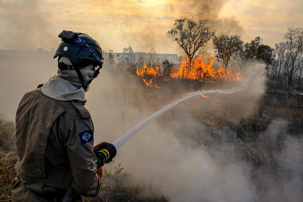queimadas incêndios pantanal amazônia