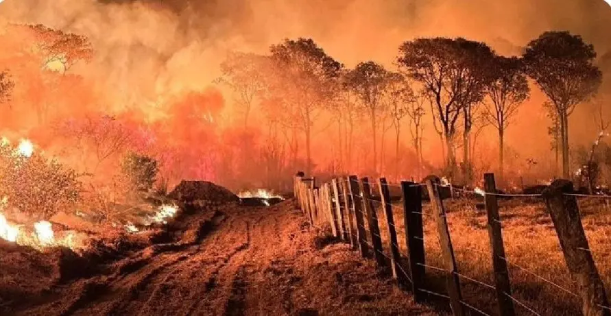 Queimadas aumentam em meio à paralisação no Ibama | Foto: Twitter/X/@Mi_L_again