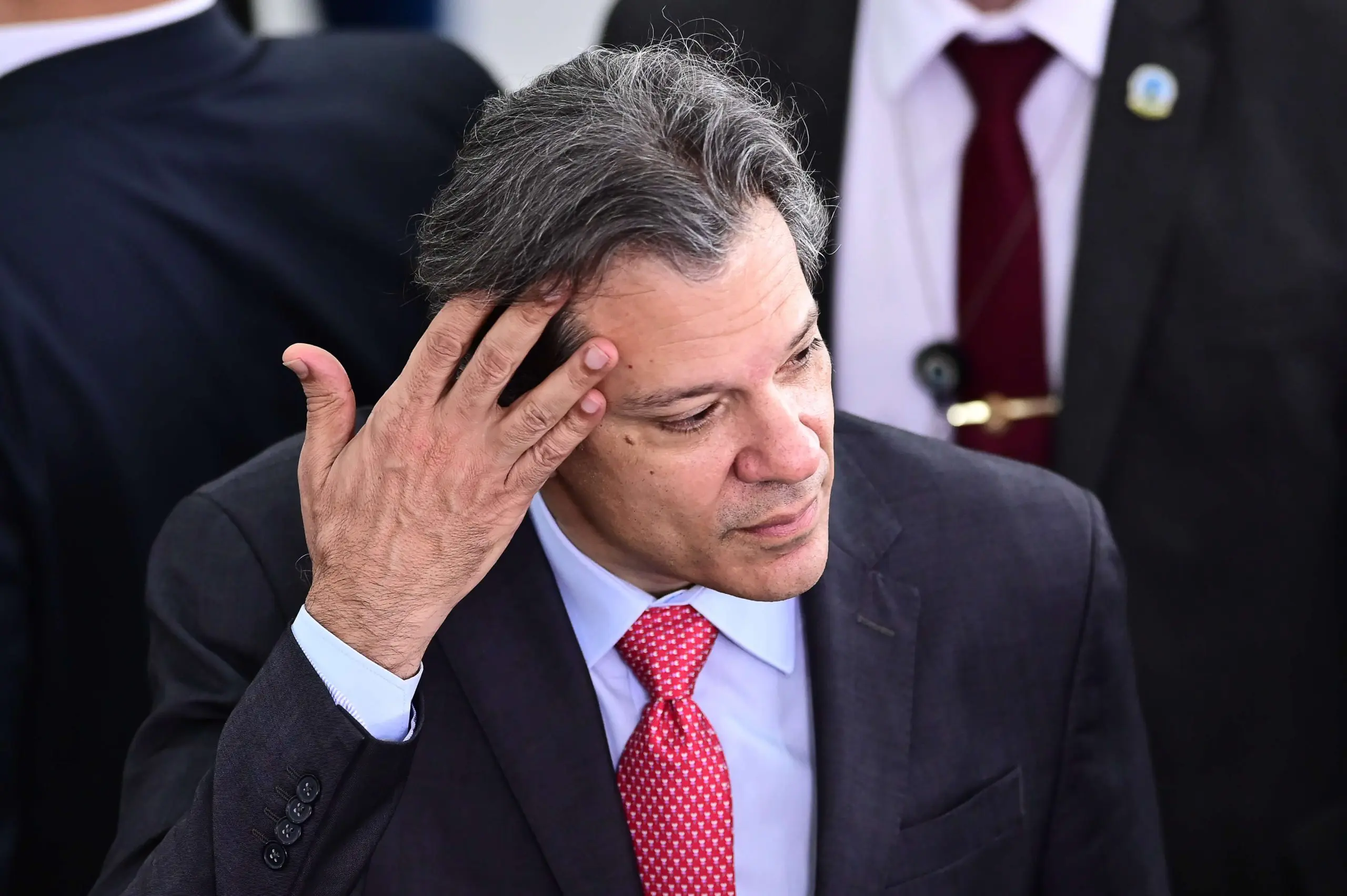 Haddad MP