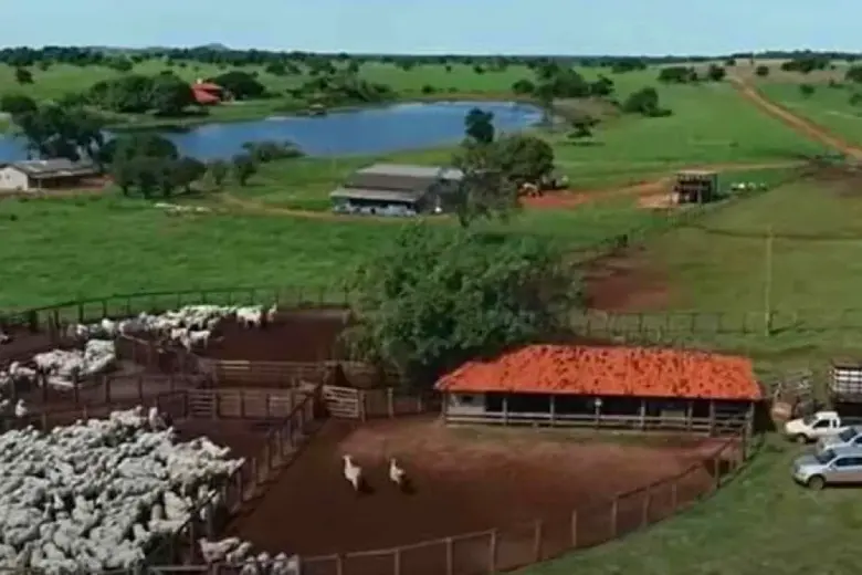 Fazenda Amado Batista em Cocalinho MT