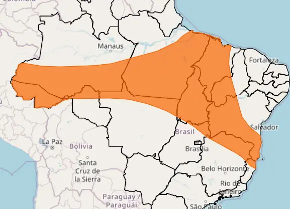 alerta laranja