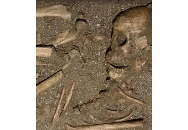 ossos terreno Sao Luis Maranhao
