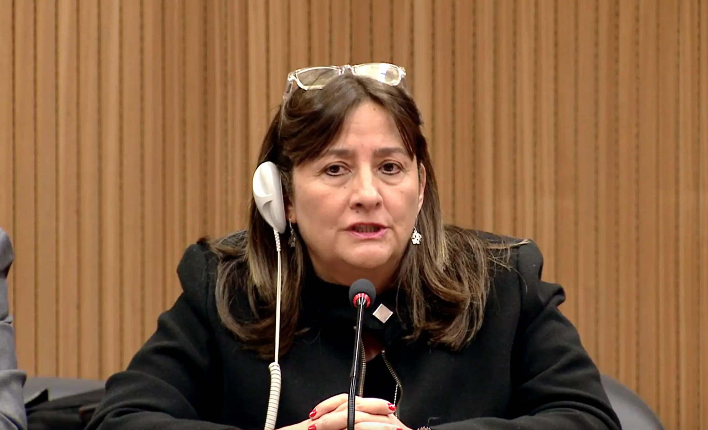Angela Buitrago, membro do Grupo de Especialistas em Direitos Humanos da ONU, afirmou que “a perseguição se estende além das fronteiras da Nicarágua