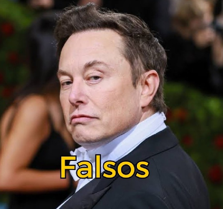 Meme Elon Musk