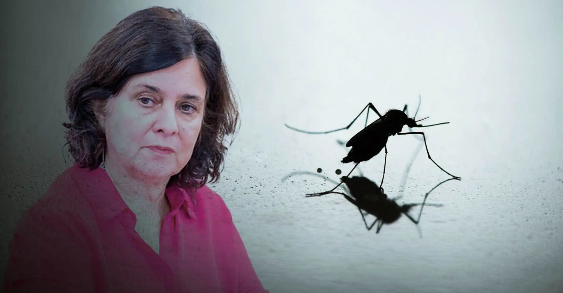 Nísia Trindade olhando para o mosquito da dengue,