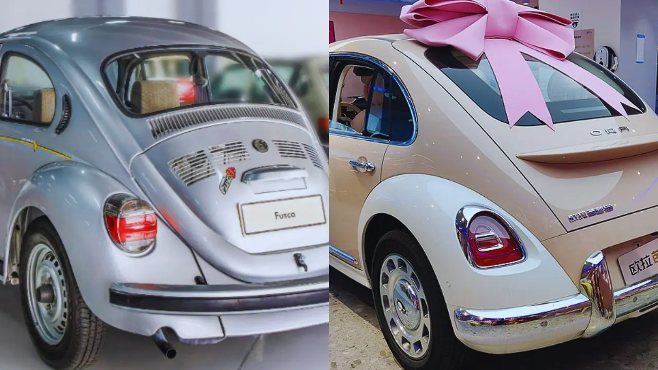 Fusca e Ora Ballet Cat