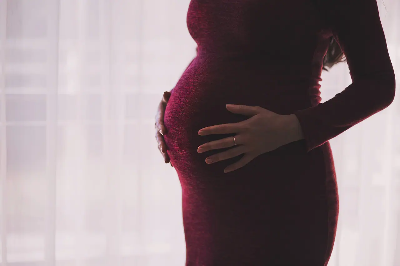 grávida - gestão - aborto flórida