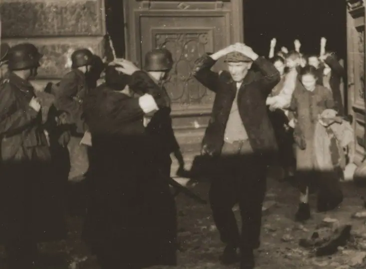 holocausto mostra mis