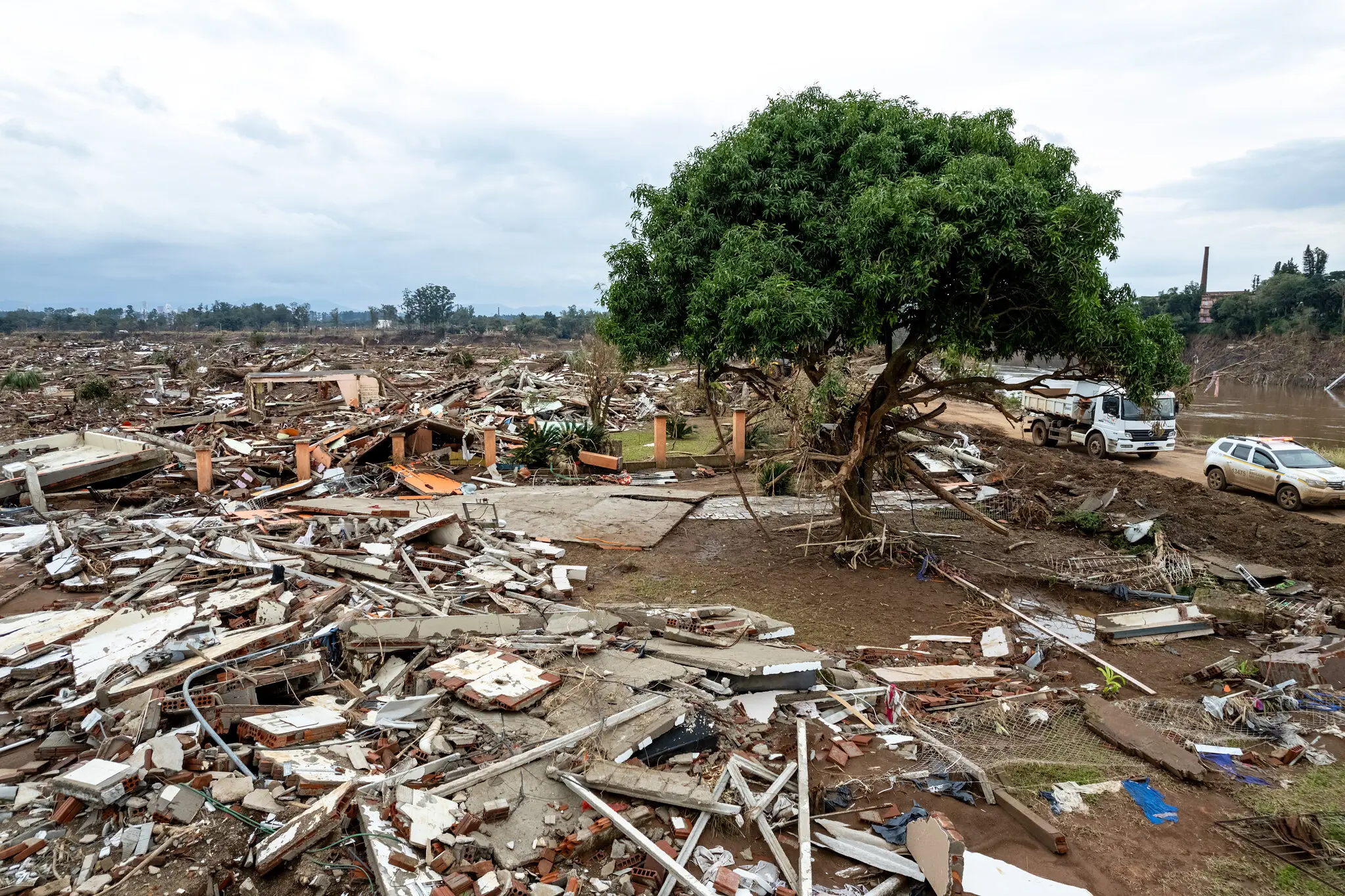 Árvore resiste destruição causada por enchentes em Cruzeiro do Sul, no Rio Grande do Sul