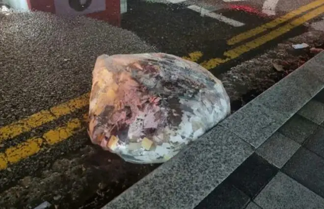 Balão com lixo na Coreia do Sul