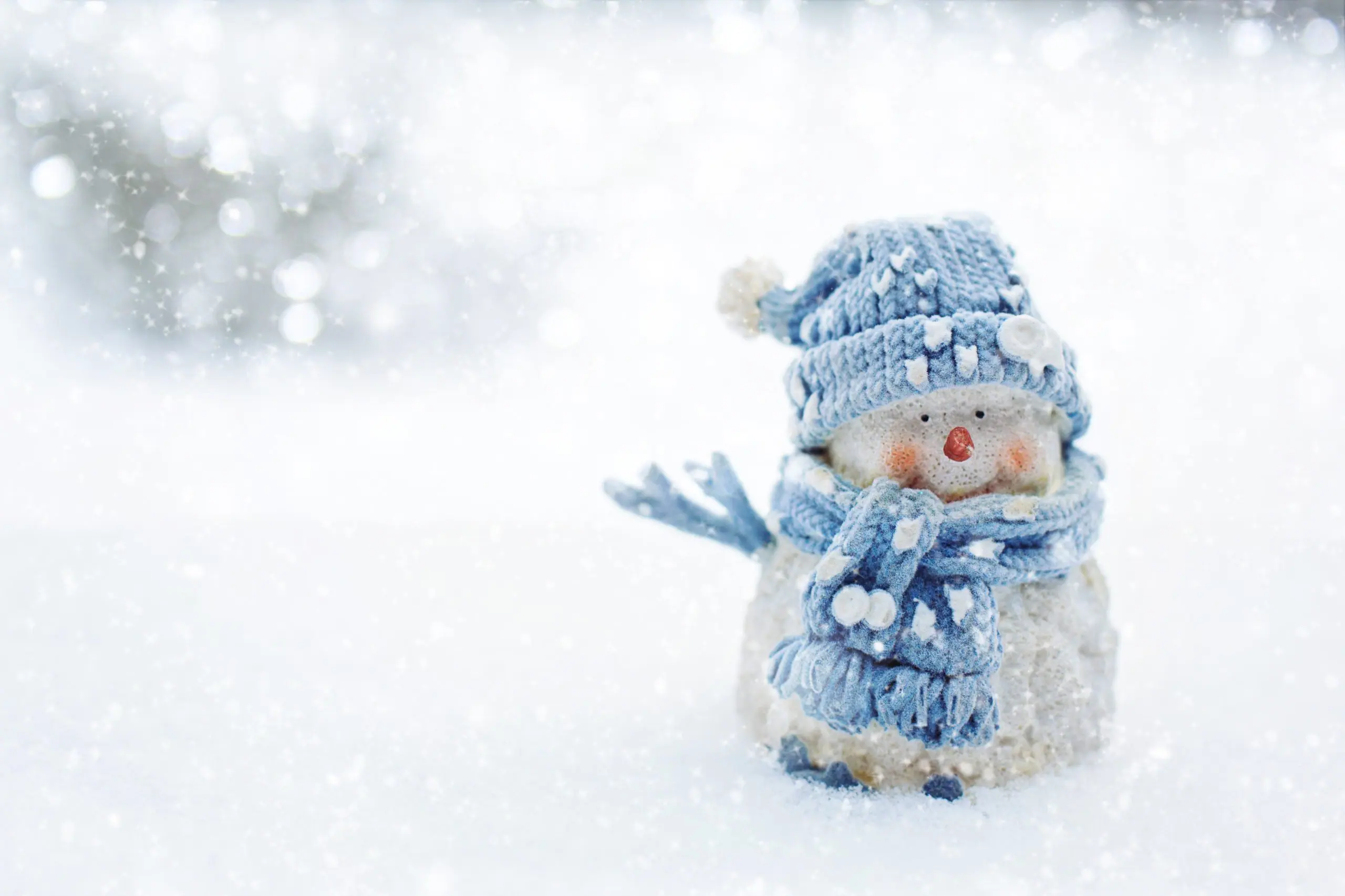 Boneco de neve durante geada representa frio de La Niña