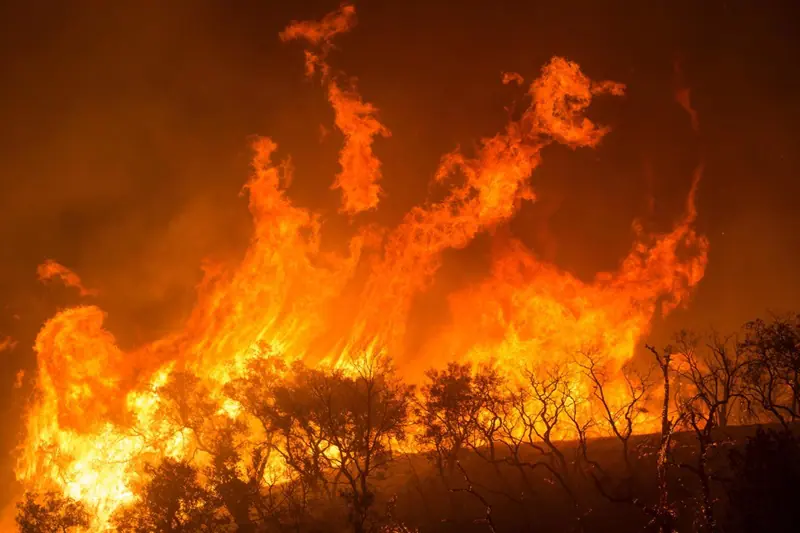 Em relação ao mesmo período do ano passado, 2024 registra alta de 76% no número de incêndios na Amazônia | Foto: Reprodução/Flickr