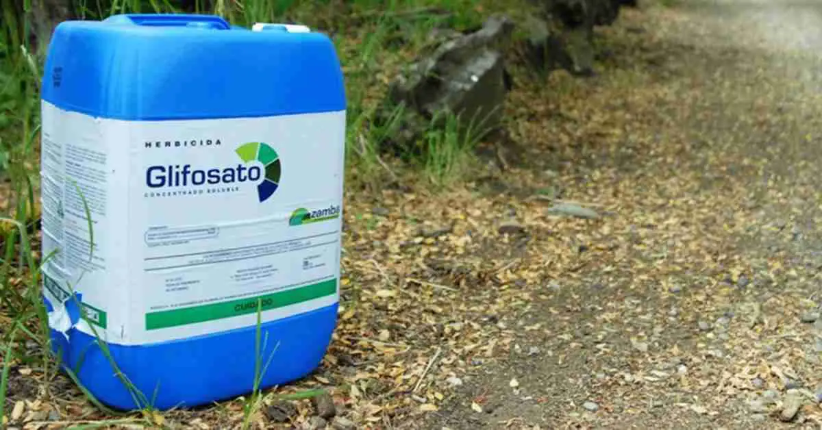 O herbicida glisofato | Foto: Divulgação